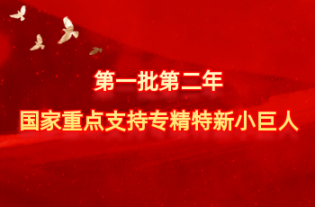 全国仅575家 | 北方UED官网入选第一批第二年国度沉点支持专精特新幼巨人